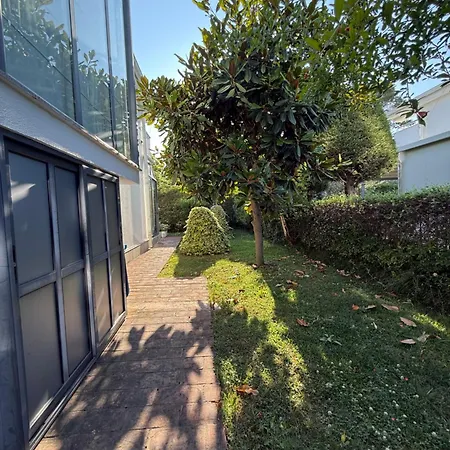 31 Oasis