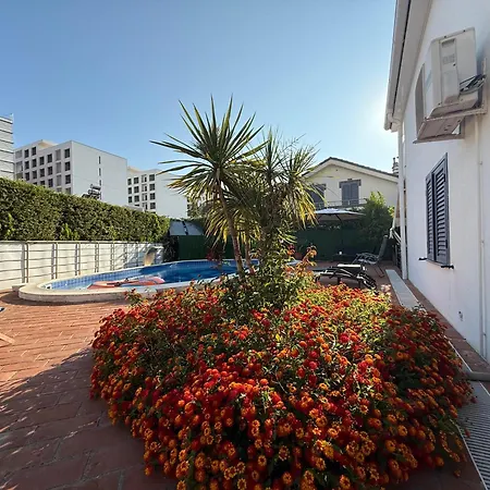31 Oasis *