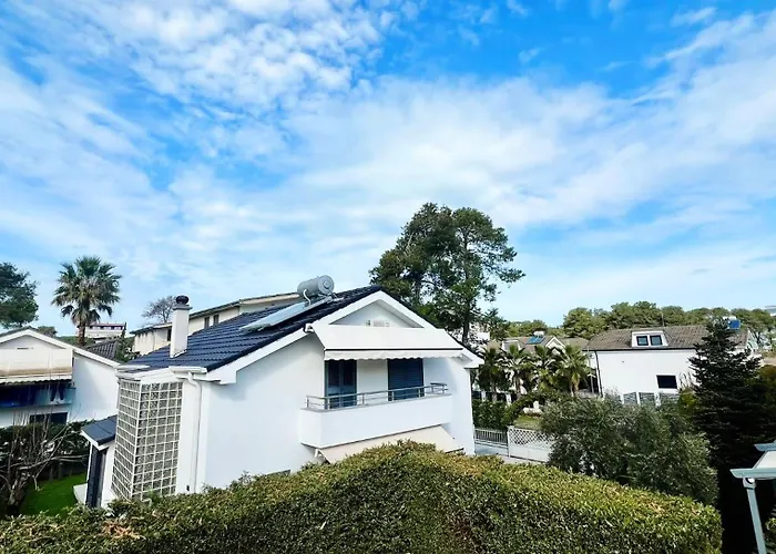 31 Oasis