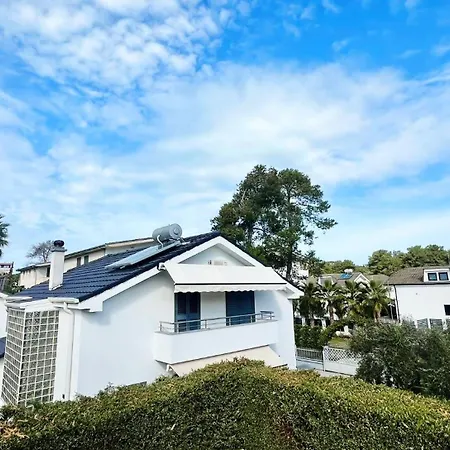 31 Oasis