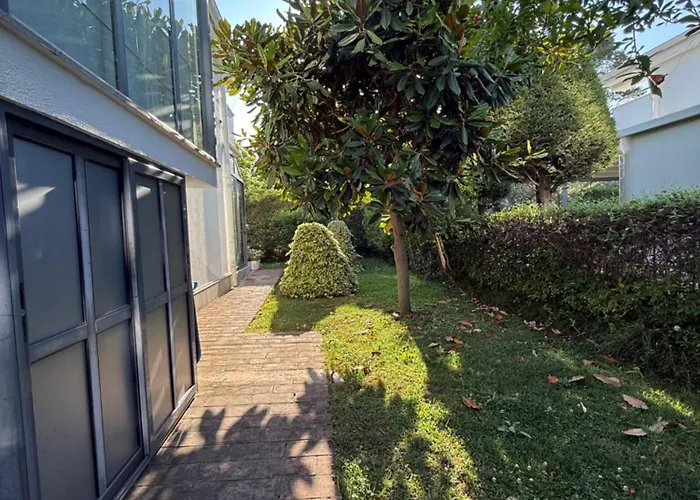 31 Oasis