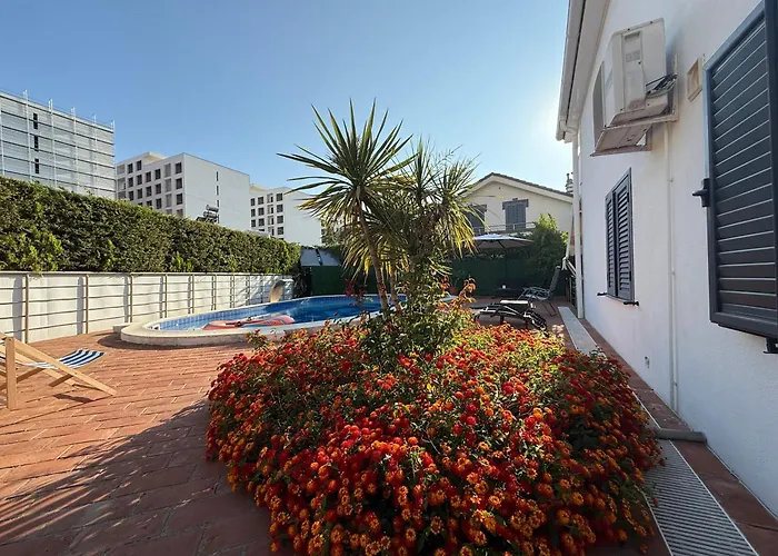 31 Oasis *